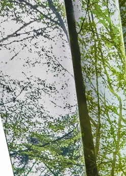 bonprix Vorhänge|Abdunkelnder Vorhang mit Wald Motiv (1er Pack) waldgrün