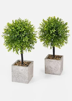 Kunstpflanze im Topf (2er Pack)|bonprix Best