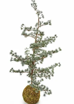 Kunst-Weihnachtsbaum Zeder mit Ballen|bonprix New