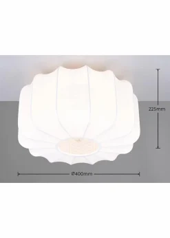 Trio Pendelleuchte|Trio Leuchten Sale