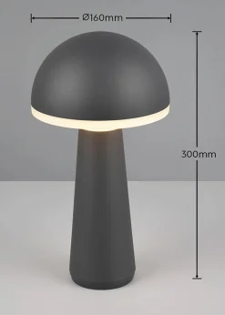 Trio Leuchten Leuchten|Leuchten & Lampen|Trio Tischleuchte mit USB Anschluss anthrazit